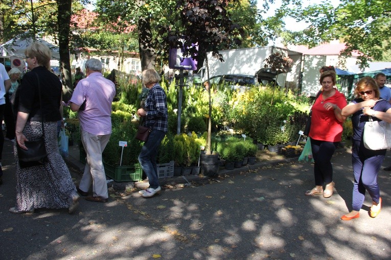 Skierniewickie Święto Kwiatów, Owoców i Warzyw - kiermasze i wystawy 