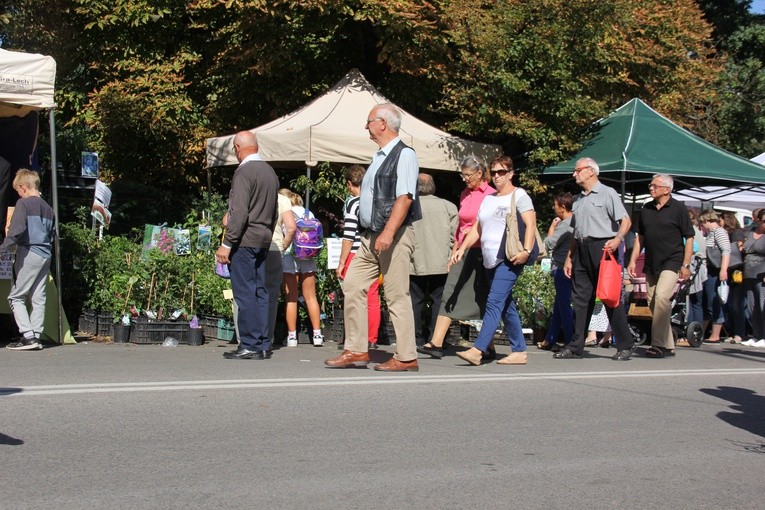 Skierniewickie Święto Kwiatów, Owoców i Warzyw - kiermasze i wystawy 