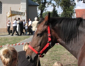 Tajemnica krzyża i konni pielgrzymi