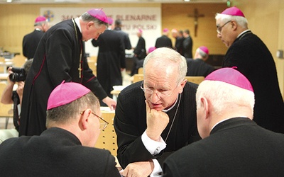 ▲	Do Płocka 25 i 26 września przyjedzie ok. 100 hierarchów z całej Polski i ze wszystkich diecezji.
