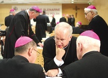 ▲	Do Płocka 25 i 26 września przyjedzie ok. 100 hierarchów z całej Polski i ze wszystkich diecezji.