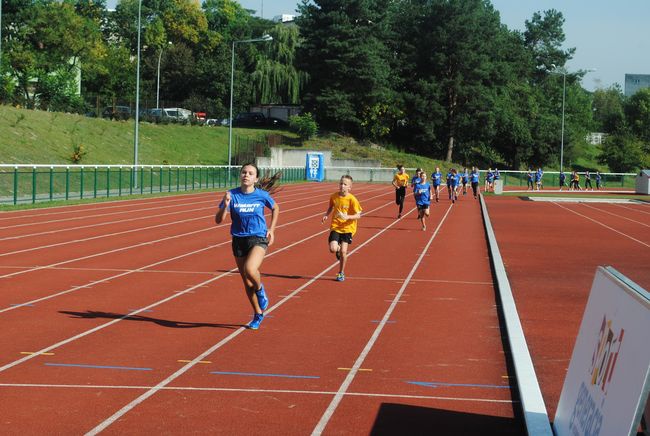 Lekkoatletyka w Stalowej Woli