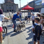 Inauguracja kampani „Zapuść żurawia"