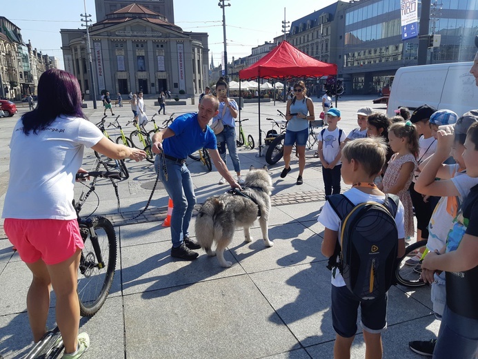 Inauguracja kampani „Zapuść żurawia"