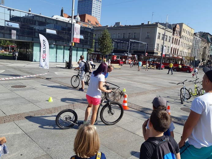 Inauguracja kampani „Zapuść żurawia"