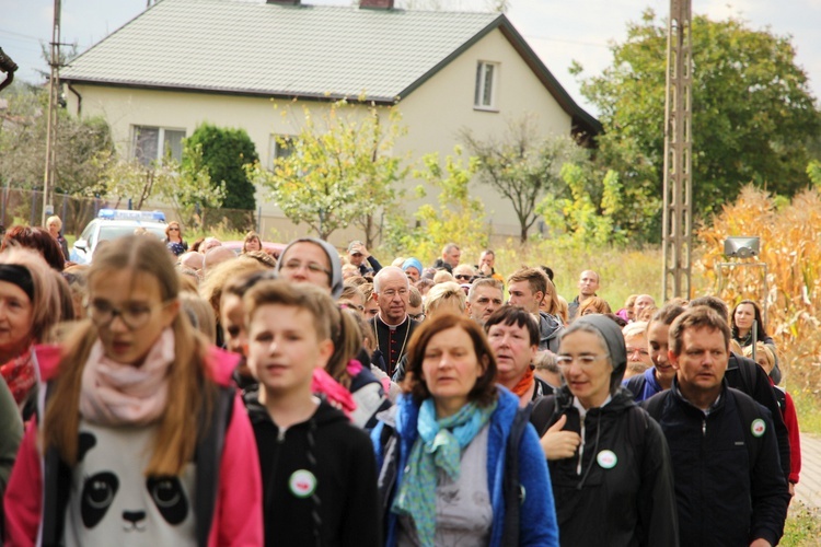 Pielgrzymka katechetów i nauczycieli