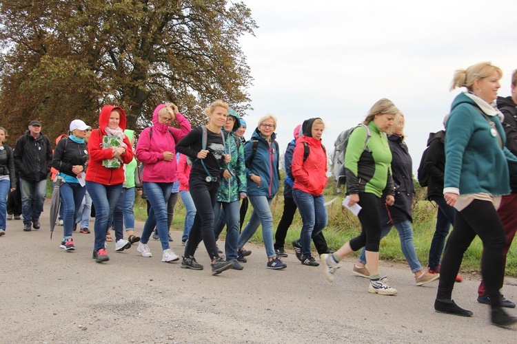 Pielgrzymka katechetów i nauczycieli