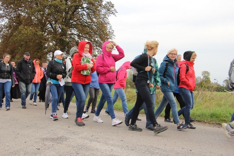 Pielgrzymka katechetów i nauczycieli