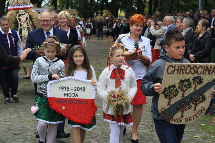 Dożynki diecezjalne '2018