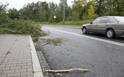 Połamane drzewa, lekko ranne dziecko