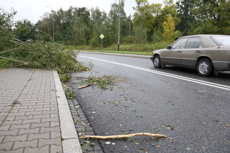 Połamane drzewa, lekko ranne dziecko