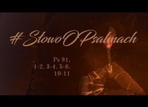 Myślę, że gdzieś tutaj jest
