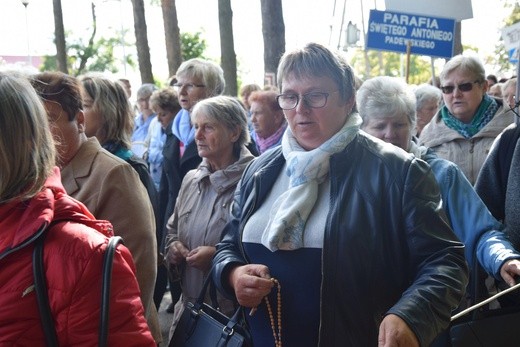 Diecezjalna Pielgrzymka Kół Żywego Różańca