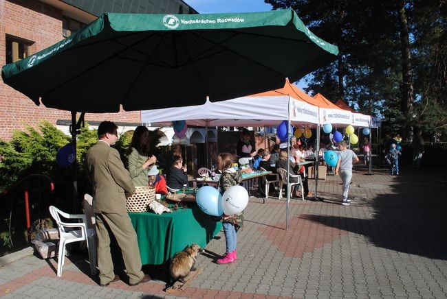 Piknik z Aniołami w Stalowej Woli