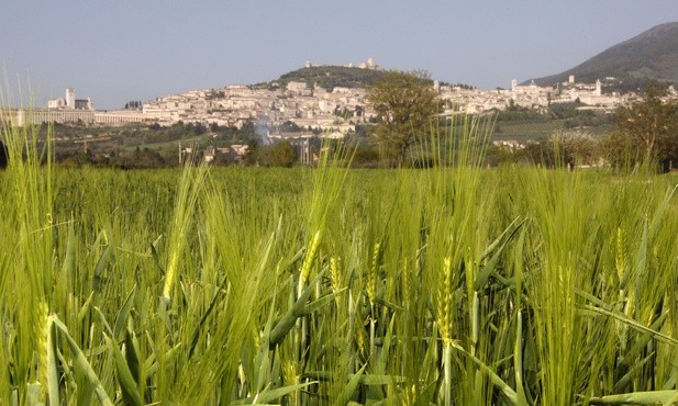 Laudato si’, mi’ Signore