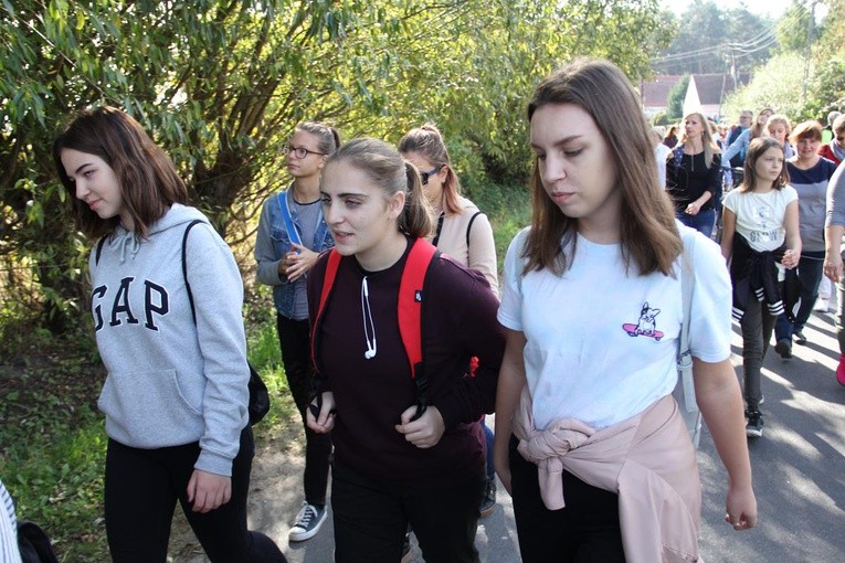 Z Brzegu Dolnego do Łososiowic