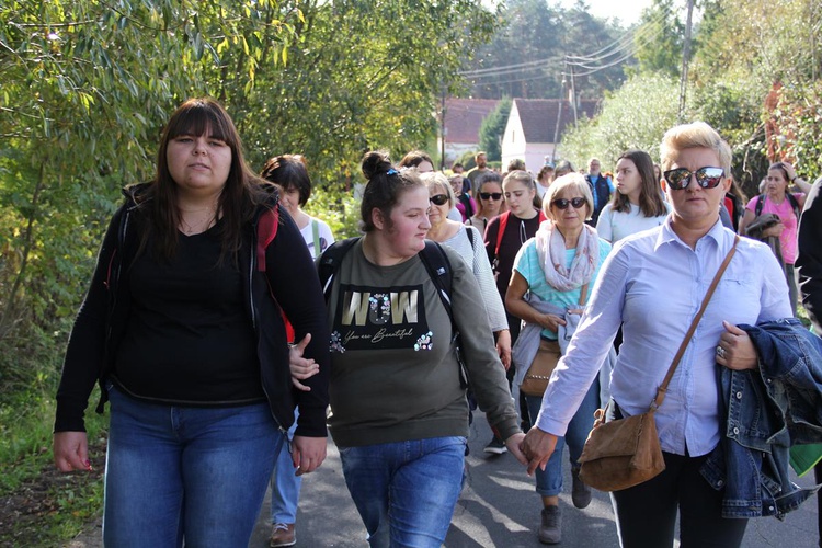 Z Brzegu Dolnego do Łososiowic