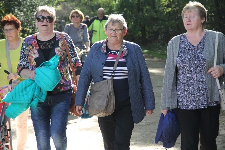 Z Brzegu Dolnego do Łososiowic