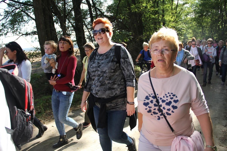 Z Brzegu Dolnego do Łososiowic