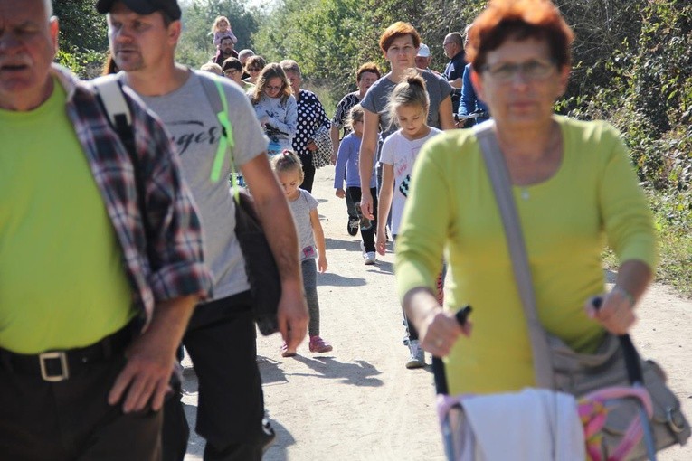 Z Brzegu Dolnego do Łososiowic
