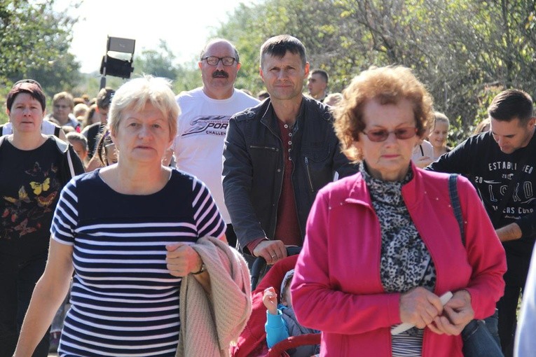 Z Brzegu Dolnego do Łososiowic