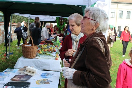 Dzień św. Franciszka 2018