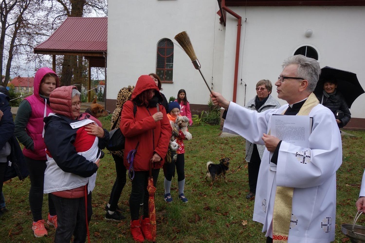 Błogosławieństwo zwierząt w Manowie