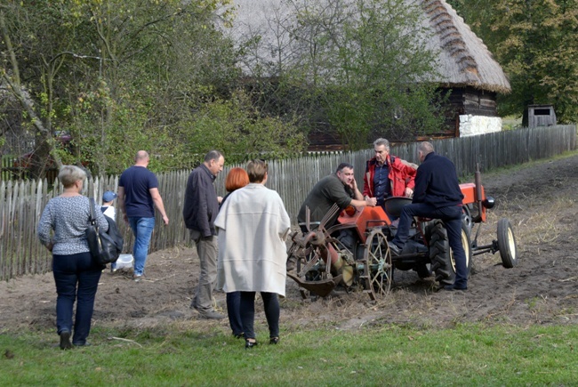 Festiwal Ziemniaka w radomskim skansenie