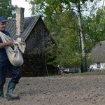 Festiwal Ziemniaka w radomskim skansenie