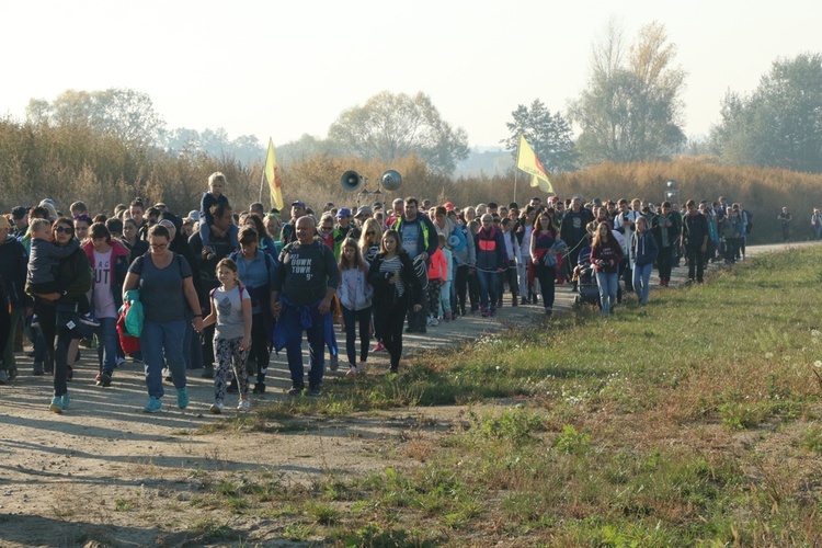 Pielgrzymka trzebnicka 2018 - cz. 4