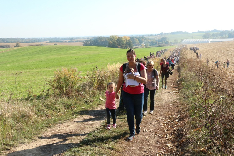 Pielgrzymka trzebnicka 2018 - cz. 5