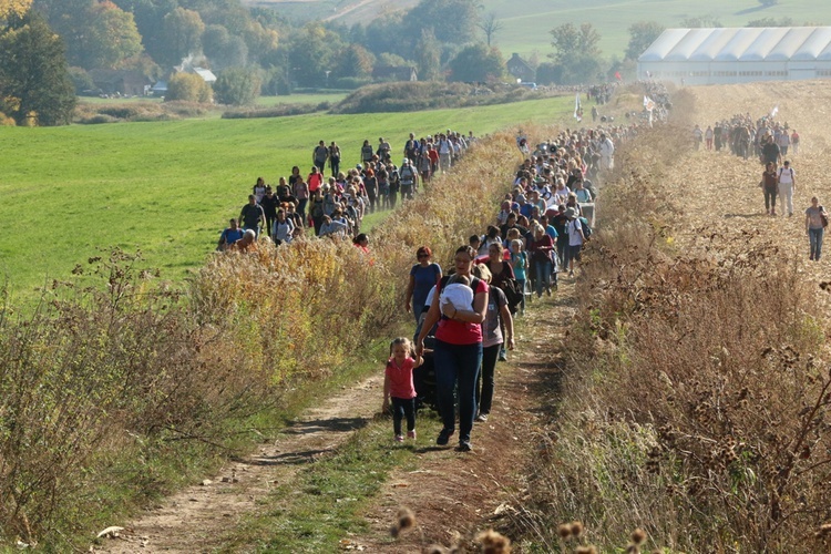 Pielgrzymka trzebnicka 2018 - cz. 5