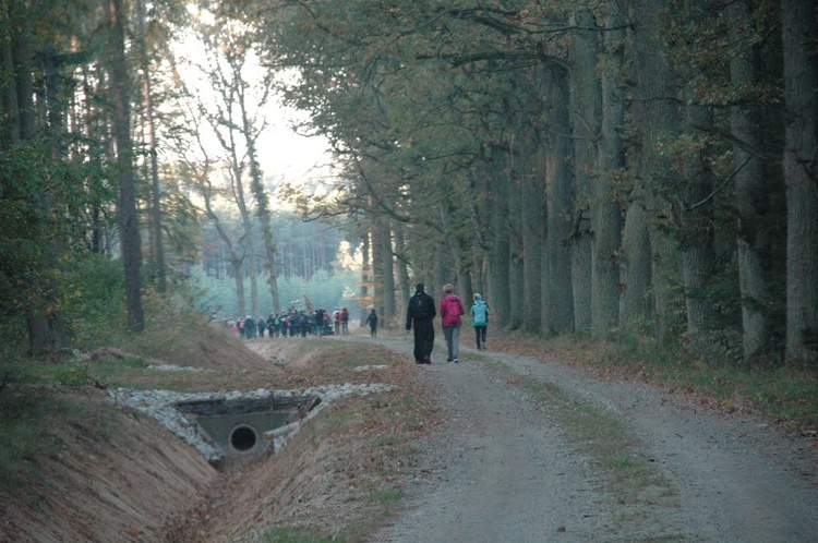 Pielgrzymka trzebnicka 2018 - cz. 13 - Milicz