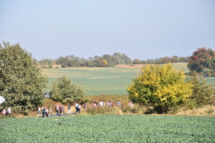 Pielgrzymka trzebnicka 2018 - cz. 12 - Oborniki Śląskie