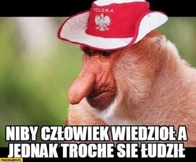 Memy po meczu Polska-Włochy