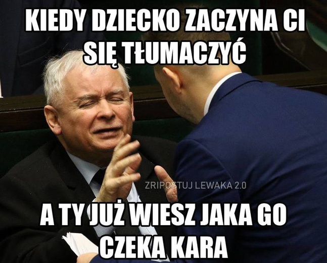 Wybory samorządowe w memach