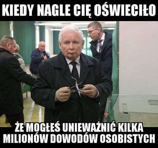 Wybory samorządowe w memach