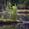 Chrześcijanie i ochrona klimatu