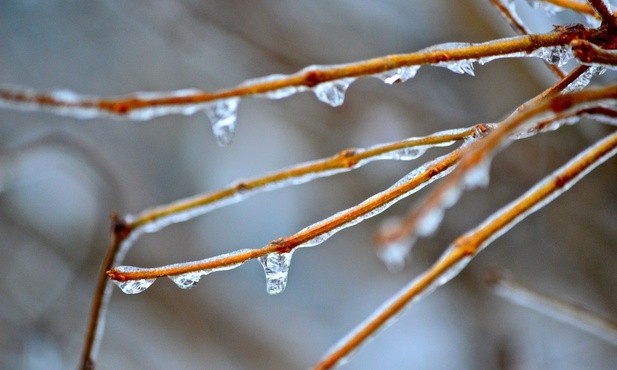 Rekolekcje żałobne (1)