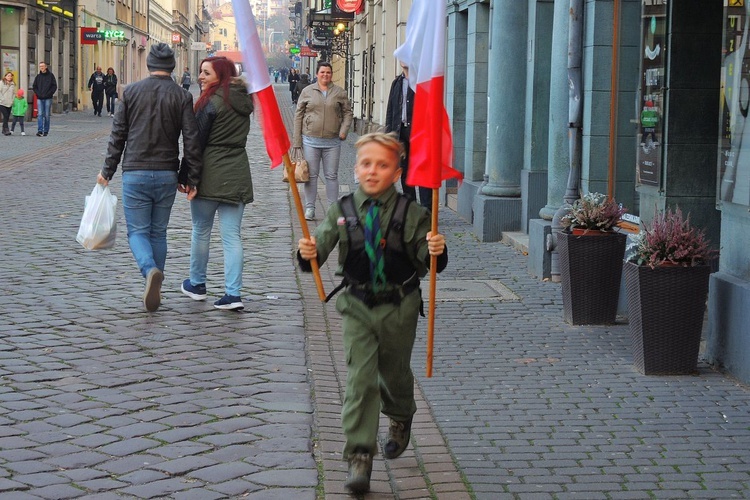 Świętowanie harcerzy ZHR z Niepodległą