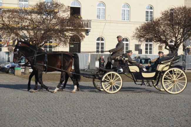 XIV Marsz Wolności w Radomiu