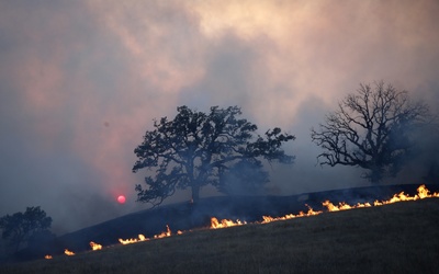Pastwą płomieni padło ponad 6700 domów, zarówno mieszkalnych jak i biurowych