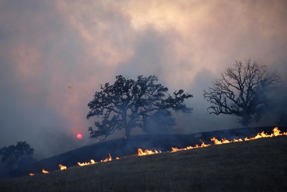 Pastwą płomieni padło ponad 6700 domów, zarówno mieszkalnych jak i biurowych