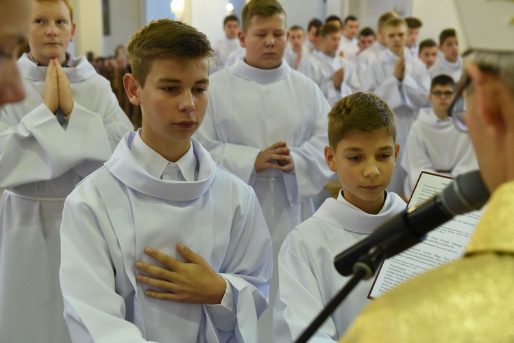 Lektorzy w Piwnicznej-Zdroju