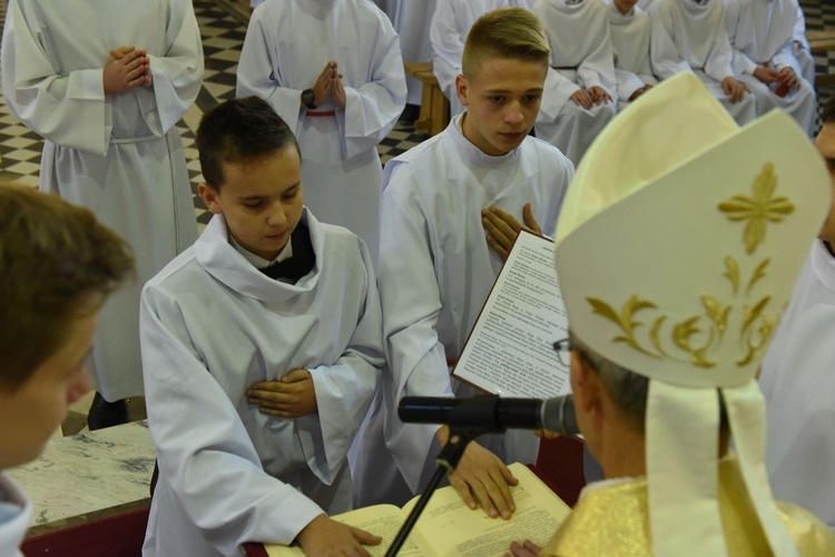 Lektorzy w Piwnicznej-Zdroju