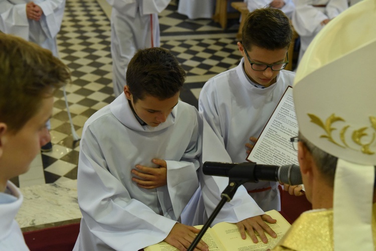 Lektorzy w Piwnicznej-Zdroju