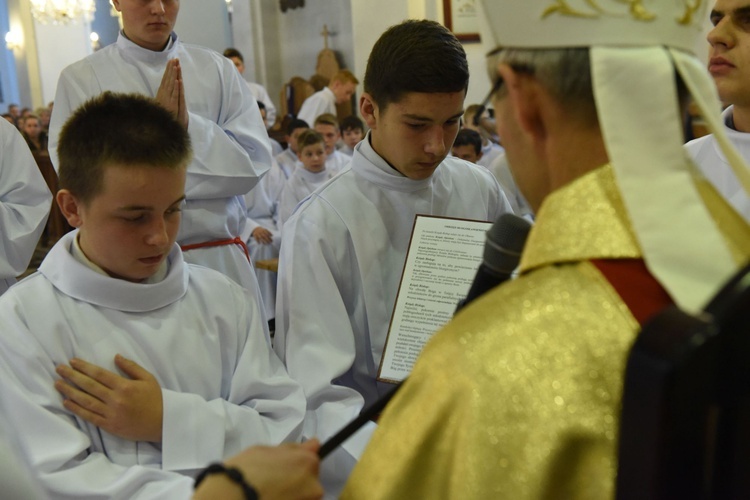 Lektorzy w Piwnicznej-Zdroju