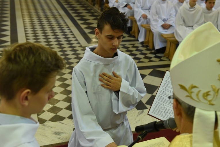 Lektorzy w Piwnicznej-Zdroju