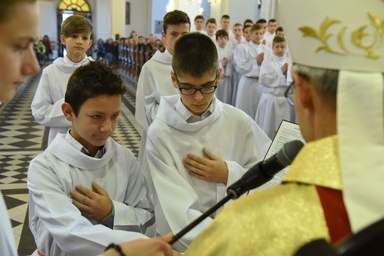 Lektorzy w Piwnicznej-Zdroju