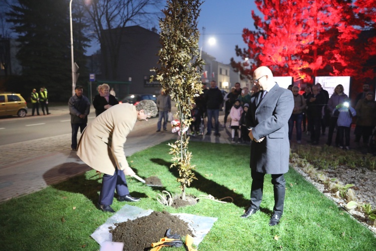 Powrót Pomnika Wolności w Czechowicach-Dziedzicach